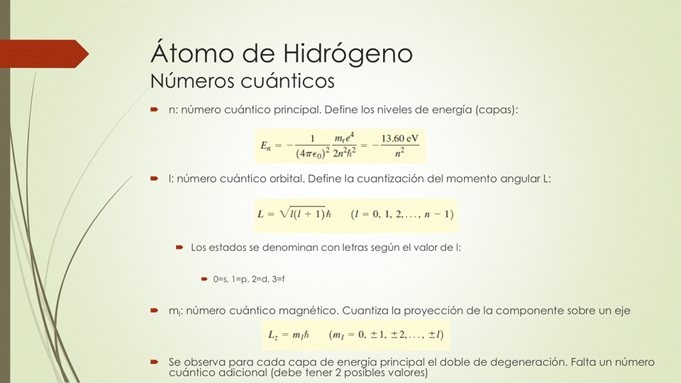 Átomo de Hidrógeno
Números cuánticos
• n: número cuántico principal. Define los niveles de energía (capas):
I mre4
13.60eV
2n2h2
l: número cuántico orbitaL Define la cuantización del momento angular L:
(1-0,
Los estados se denominan con letras según el valor de I:
m.: número cuántico magnético. Cuantiza la proyección de la componente sobre un eje
• Se observa para cada capa de energía principal el doble de degeneración. Falta un número
cuántico adicional (debe tener 2 posibles valores)
