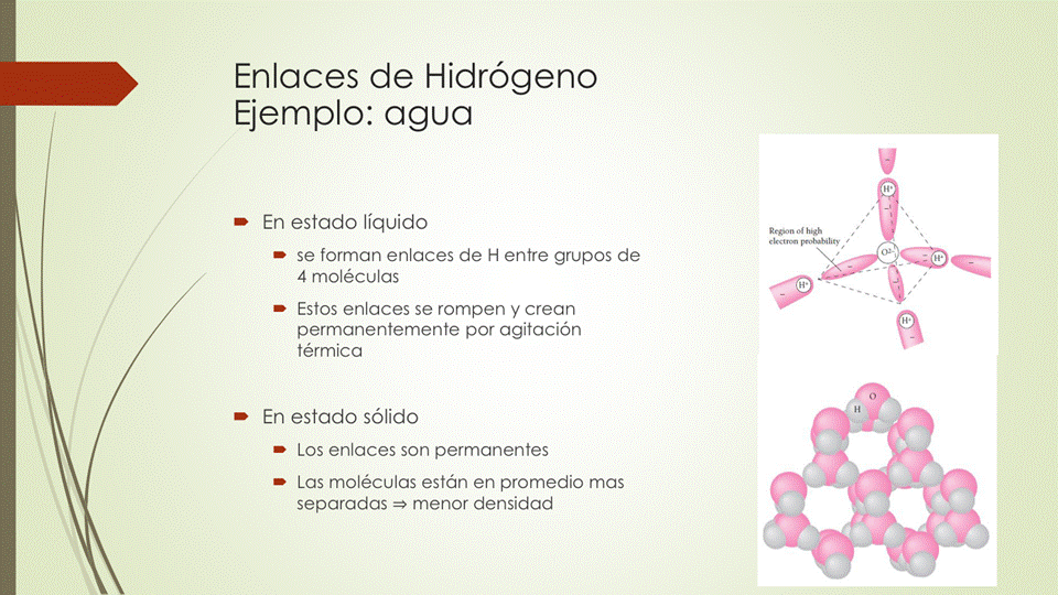 Enlaces de Hidrógeno
Ejemplo: agua
• En estado líquido
• se forman enlaces de H entre grupos de
4 moléculas
Estos enlaces se rompen y crean
permanentemente por agitación
térmica
• En estado sólido
Los enlaces son permanentes
• Las moléculas están en promedio mas
separadas menor densidad
0